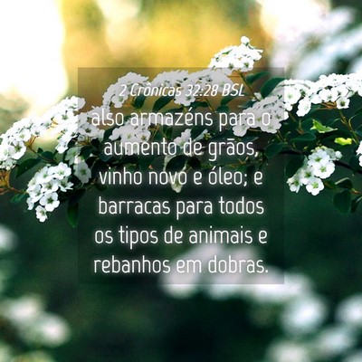 Picture 04 - 2 Crônicas 32:28 BSL - also armazéns para o aumento de grãos, vinho - Bible Verse Picture