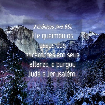 Picture 04 - 2 Crônicas 34:5 BSL - Ele queimou os ossos dos sacerdotes em seus - Bible Verse Picture