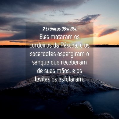Picture 04 - 2 Crônicas 35:11 BSL - Eles mataram os cordeiros da Páscoa, e os - Bible Verse Picture