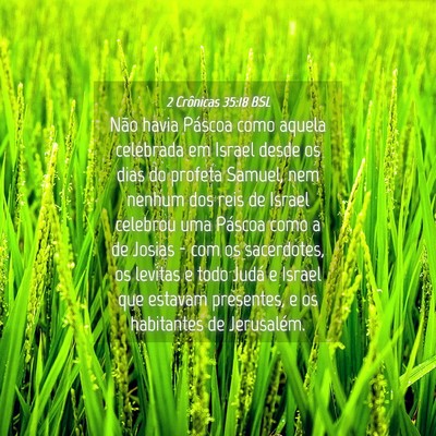 Picture 04 - 2 Crônicas 35:18 BSL - Não havia Páscoa como aquela celebrada em - Bible Verse Picture