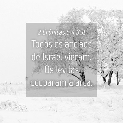 Picture 04 - 2 Crônicas 5:4 BSL - Todos os anciãos de Israel vieram. Os levitas - Bible Verse Picture