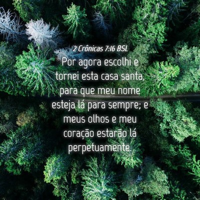 Picture 04 - 2 Crônicas 7:16 BSL - Por agora escolhi e tornei esta casa santa, para - Bible Verse Picture