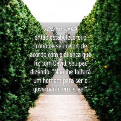 Picture 04 - 2 Crônicas 7:18 BSL - então estabelecerei o trono de seu reino, de - Bible Verse Picture