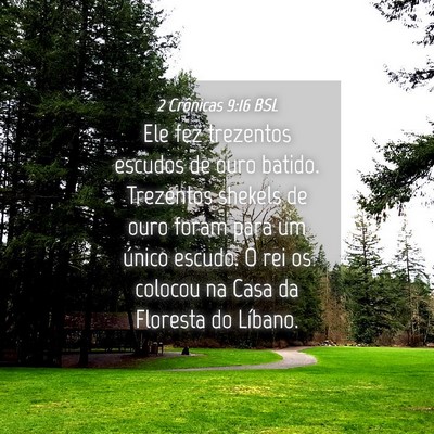 Picture 04 - 2 Crônicas 9:16 BSL - Ele fez trezentos escudos de ouro batido. - Bible Verse Picture