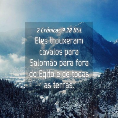Picture 04 - 2 Crônicas 9:28 BSL - Eles trouxeram cavalos para Salomão para fora do - Bible Verse Picture