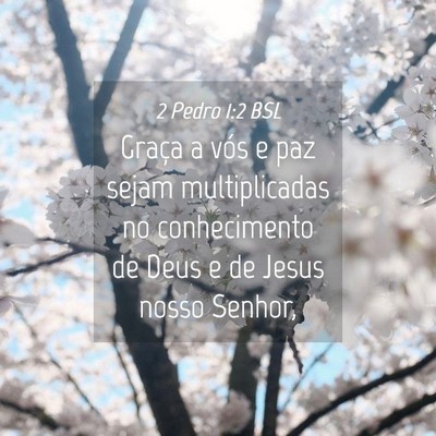 Picture 04 - 2 Pedro 1:2 BSL - Graça a vós e paz sejam multiplicadas no - Bible Verse Picture