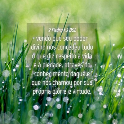 Picture 04 - 2 Pedro 1:3 BSL - vendo que seu poder divino nos concedeu tudo o - Bible Verse Picture