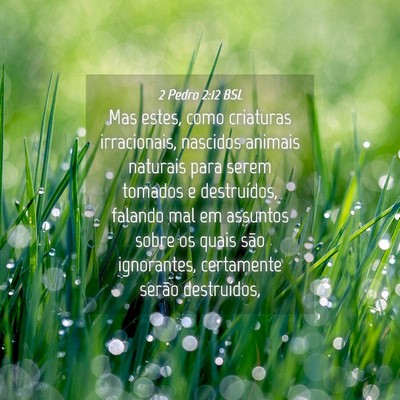 Picture 04 - 2 Pedro 2:12 BSL - Mas estes, como criaturas irracionais, nascidos - Bible Verse Picture