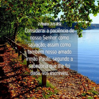 Picture 04 - 2 Pedro 3:15 BSL - Considerai a paciência de nosso Senhor como - Bible Verse Picture