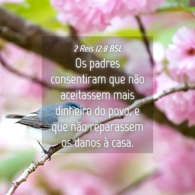 Picture 04 - 2 Reis 12:8 BSL - Os padres consentiram que não aceitassem mais - Bible Verse Picture