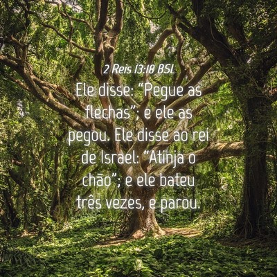 Picture 04 - 2 Reis 13:18 BSL - Ele disse: “Pegue as flechas”; e ele as - Bible Verse Picture