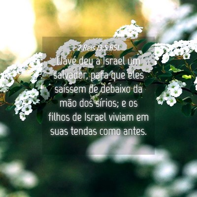 Picture 04 - 2 Reis 13:5 BSL - (Javé deu a Israel um salvador, para que eles - Bible Verse Picture