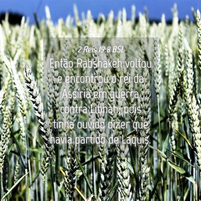 Picture 04 - 2 Reis 19:8 BSL - Então Rabshakeh voltou e encontrou o rei da - Bible Verse Picture