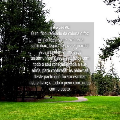 Picture 04 - 2 Reis 23:3 BSL - O rei ficou ao lado da coluna e fez um pacto - Bible Verse Picture