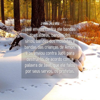 Picture 04 - 2 Reis 24:2 BSL - Javé enviou contra ele bandas dos caldeus, - Bible Verse Picture