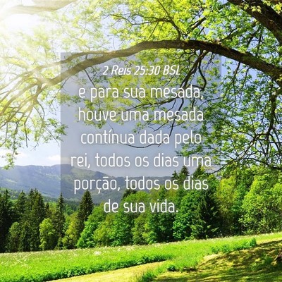 Picture 04 - 2 Reis 25:30 BSL - e para sua mesada, houve uma mesada contínua - Bible Verse Picture