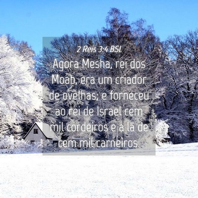 Picture 04 - 2 Reis 3:4 BSL - Agora Mesha, rei dos Moab, era um criador de - Bible Verse Picture