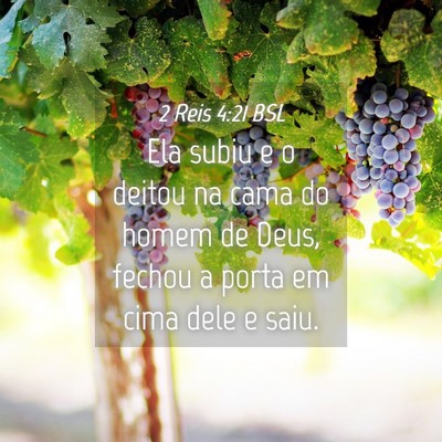 Picture 04 - 2 Reis 4:21 BSL - Ela subiu e o deitou na cama do homem de Deus, - Bible Verse Picture