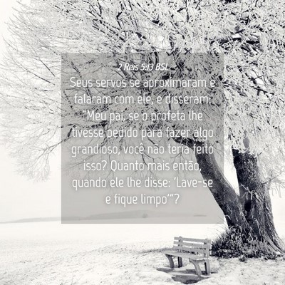 Picture 04 - 2 Reis 5:13 BSL - Seus servos se aproximaram e falaram com ele, e - Bible Verse Picture