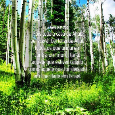 Picture 04 - 2 Reis 9:8 BSL - Pois toda a casa de Ahab perecerá. Cortarei de - Bible Verse Picture