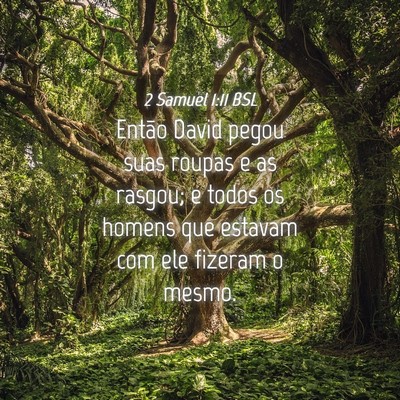 Picture 04 - 2 Samuel 1:11 BSL - Então David pegou suas roupas e as rasgou; e - Bible Verse Picture