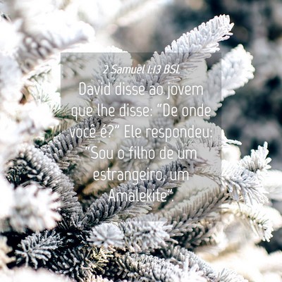 Picture 04 - 2 Samuel 1:13 BSL - David disse ao jovem que lhe disse: “De onde - Bible Verse Picture