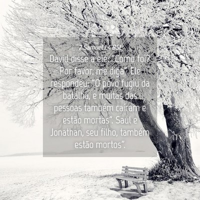 Picture 04 - 2 Samuel 1:4 BSL - David disse a ele: “Como foi? Por favor, me - Bible Verse Picture