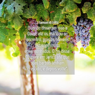Picture 04 - 2 Samuel 10:5 BSL - Quando disseram isso a David, ele os mandou ao - Bible Verse Picture