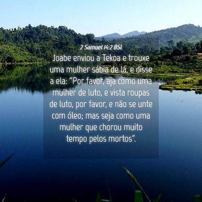 Picture 04 - 2 Samuel 14:2 BSL - Joabe enviou a Tekoa e trouxe uma mulher sábia - Bible Verse Picture