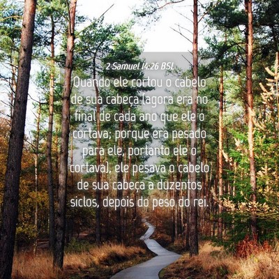 Picture 04 - 2 Samuel 14:26 BSL - Quando ele cortou o cabelo de sua cabeça (agora - Bible Verse Picture