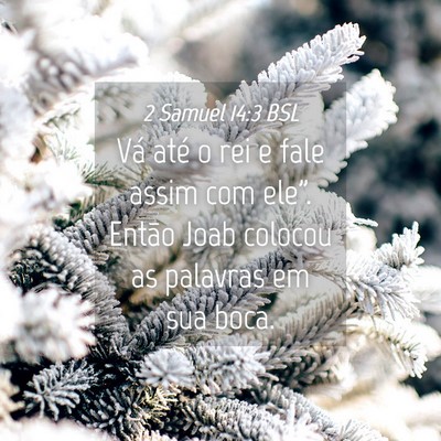 Picture 04 - 2 Samuel 14:3 BSL - Vá até o rei e fale assim com ele”. Então - Bible Verse Picture