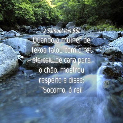 Picture 04 - 2 Samuel 14:4 BSL - Quando a mulher de Tekoa falou com o rei, ela - Bible Verse Picture