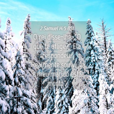 Picture 04 - 2 Samuel 14:5 BSL - O rei disse-lhe: “O que te aflige?” Ela - Bible Verse Picture