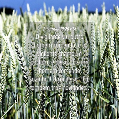 Picture 04 - 2 Samuel 18:26 BSL - O vigilante viu outro homem correndo; e o - Bible Verse Picture