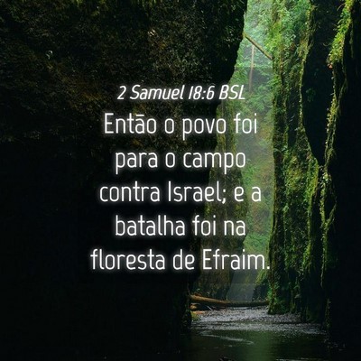 Picture 04 - 2 Samuel 18:6 BSL - Então o povo foi para o campo contra Israel; e a - Bible Verse Picture