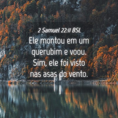 Picture 04 - 2 Samuel 22:11 BSL - Ele montou em um querubim e voou. Sim, ele foi - Bible Verse Picture