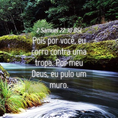 Picture 04 - 2 Samuel 22:30 BSL - Pois por você, eu corro contra uma tropa. Por - Bible Verse Picture