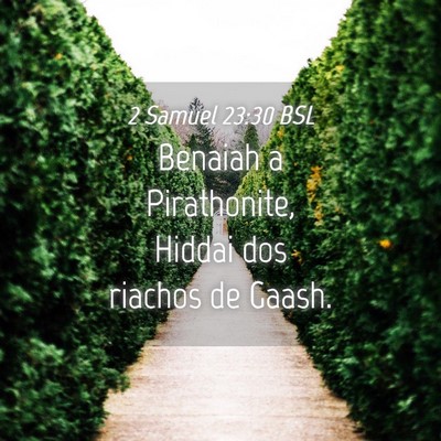 Picture 04 - 2 Samuel 23:30 BSL - Benaiah a Pirathonite, Hiddai dos riachos de - Bible Verse Picture