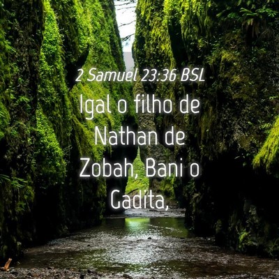 Picture 04 - 2 Samuel 23:36 BSL - Igal o filho de Nathan de Zobah, Bani o - Bible Verse Picture