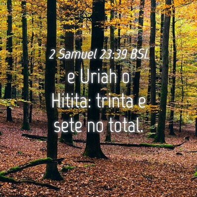 Picture 04 - 2 Samuel 23:39 BSL - e Uriah o Hitita: trinta e sete no - Bible Verse Picture