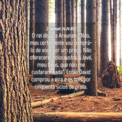 Picture 04 - 2 Samuel 24:24 BSL - O rei disse a Araunah: “Não, mas certamente - Bible Verse Picture