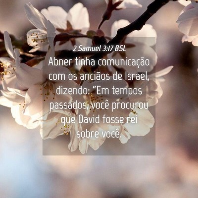 Picture 04 - 2 Samuel 3:17 BSL - Abner tinha comunicação com os anciãos de - Bible Verse Picture