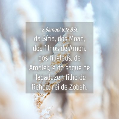 Picture 04 - 2 Samuel 8:12 BSL - da Síria, dos Moab, dos filhos de Amon, dos - Bible Verse Picture