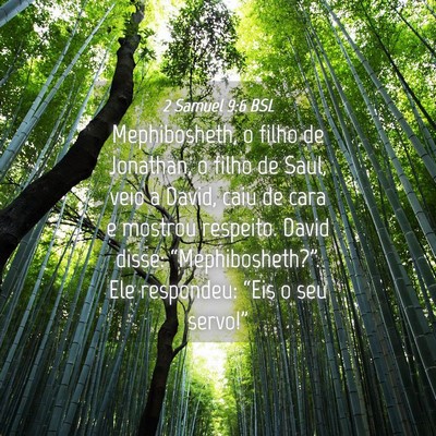 Picture 04 - 2 Samuel 9:6 BSL - Mephibosheth, o filho de Jonathan, o filho de - Bible Verse Picture