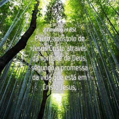 Picture 04 - 2 Timóteo 1:1 BSL - Paulo, apóstolo de Jesus Cristo através da - Bible Verse Picture