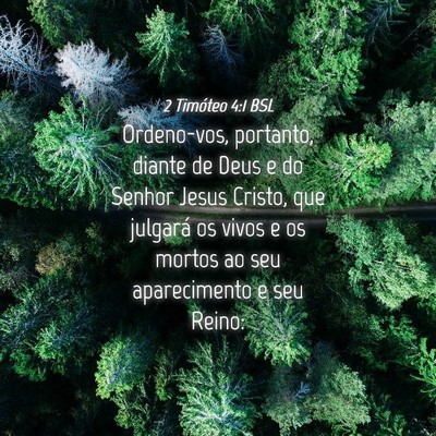 Picture 04 - 2 Timóteo 4:1 BSL - Ordeno-vos, portanto, diante de Deus e do Senhor - Bible Verse Picture
