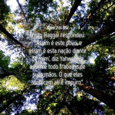 Picture 04 - Ageu 2:14 BSL - Então Haggai respondeu: “'Assim é este povo, - Bible Verse Picture