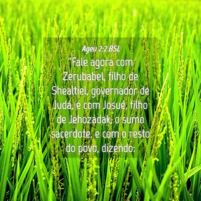 Picture 04 - Ageu 2:2 BSL - “Fale agora com Zerubabel, filho de Shealtiel, - Bible Verse Picture