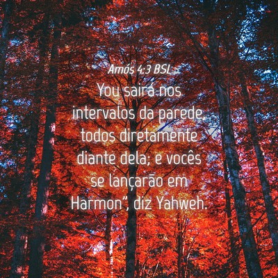 Picture 04 - Amós 4:3 BSL - You sairá nos intervalos da parede, todos - Bible Verse Picture