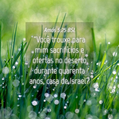 Picture 04 - Amós 5:25 BSL - “Você trouxe para mim sacrifícios e ofertas - Bible Verse Picture